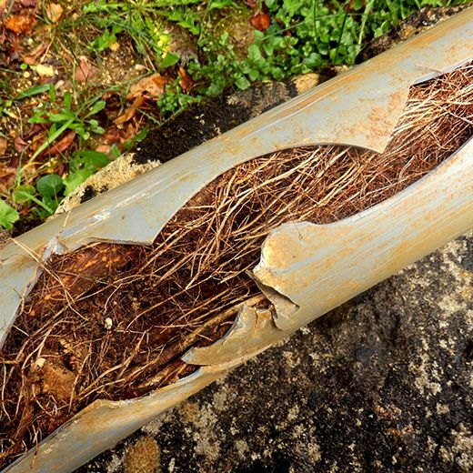 Same Day Drain Sewer & Rooter Pros Across Hudson